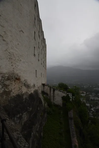 DSC_6383 (Large).JPG